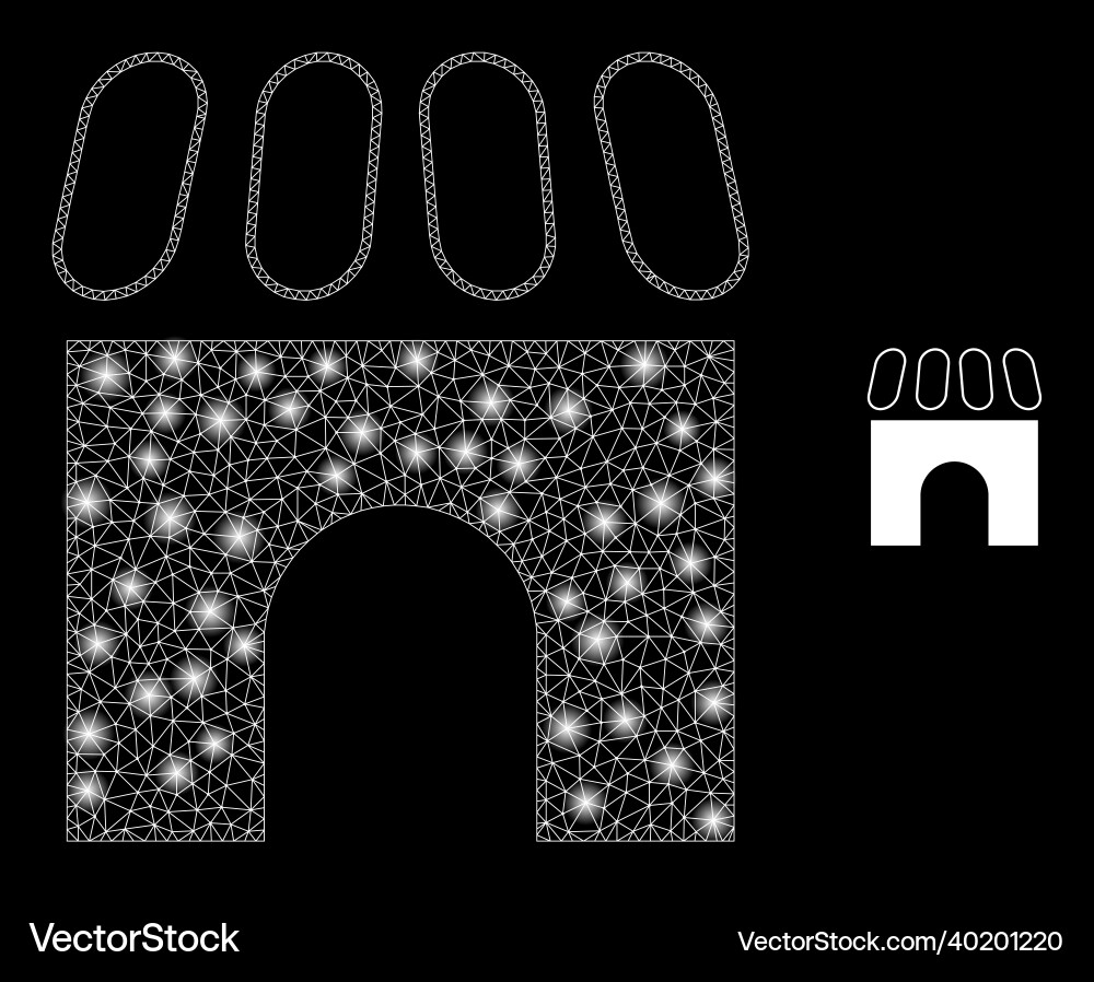 Mesh web building with bright constellation Mesh web building with bright constellation vector image