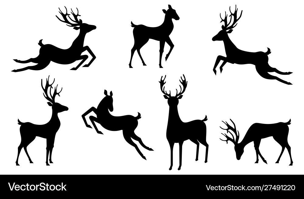 Doe Roe Cartoon Vector Images (over 190)