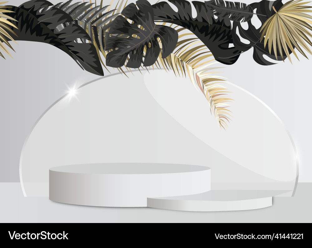3d gray background podium product display Vector Image