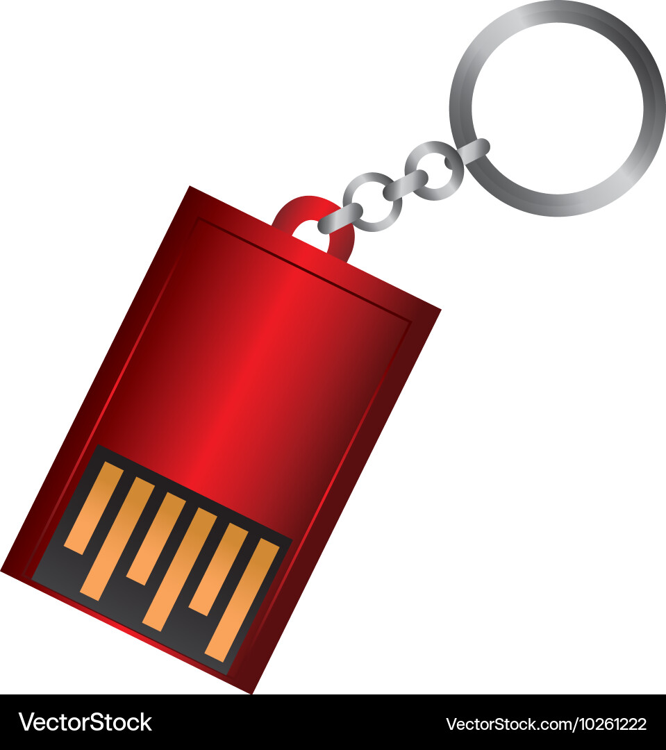 Usb disk device data keychain vector image