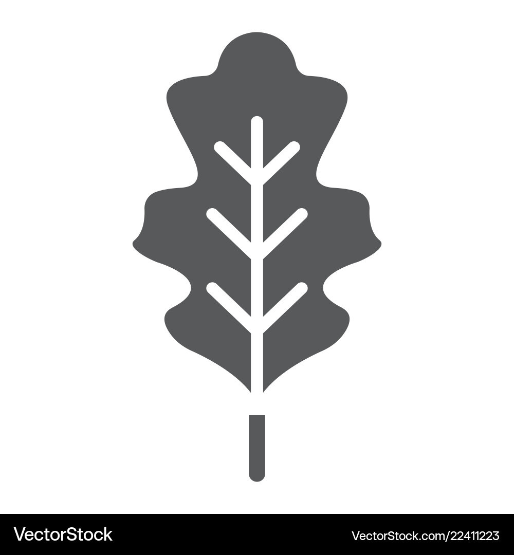 Eiche Blatt Glyph Ikone Natur und Botany Blatt Eiche Blatt Glyph Ikone Natur und Botany Blatt vektorbild