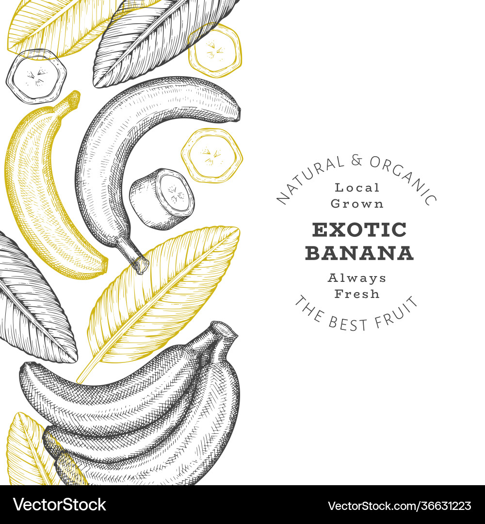 Hand gezeichnete Skizze Stil Bananenbanner Bio Hand gezeichnete Skizze Stil Bananenbanner Bio vektorbild