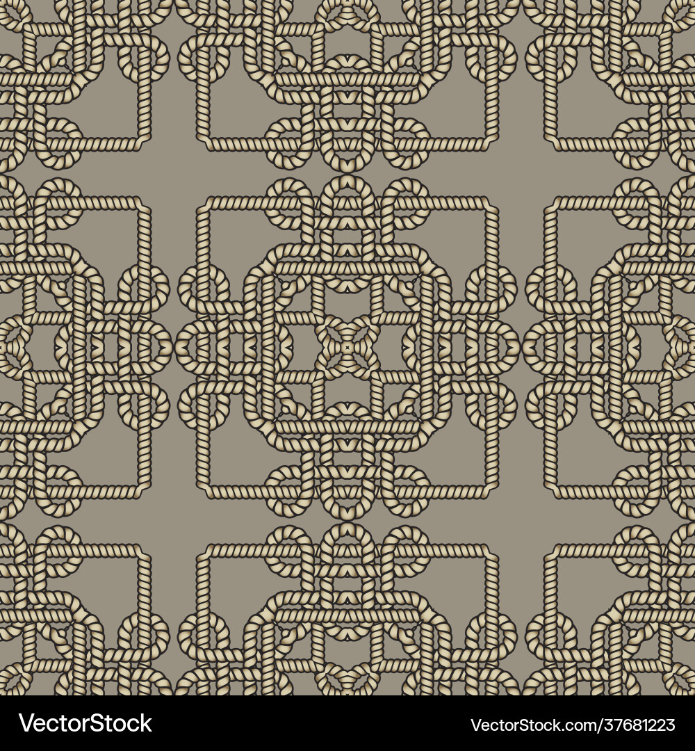 Ropes and strings seamless pattern ethnic Vector Image