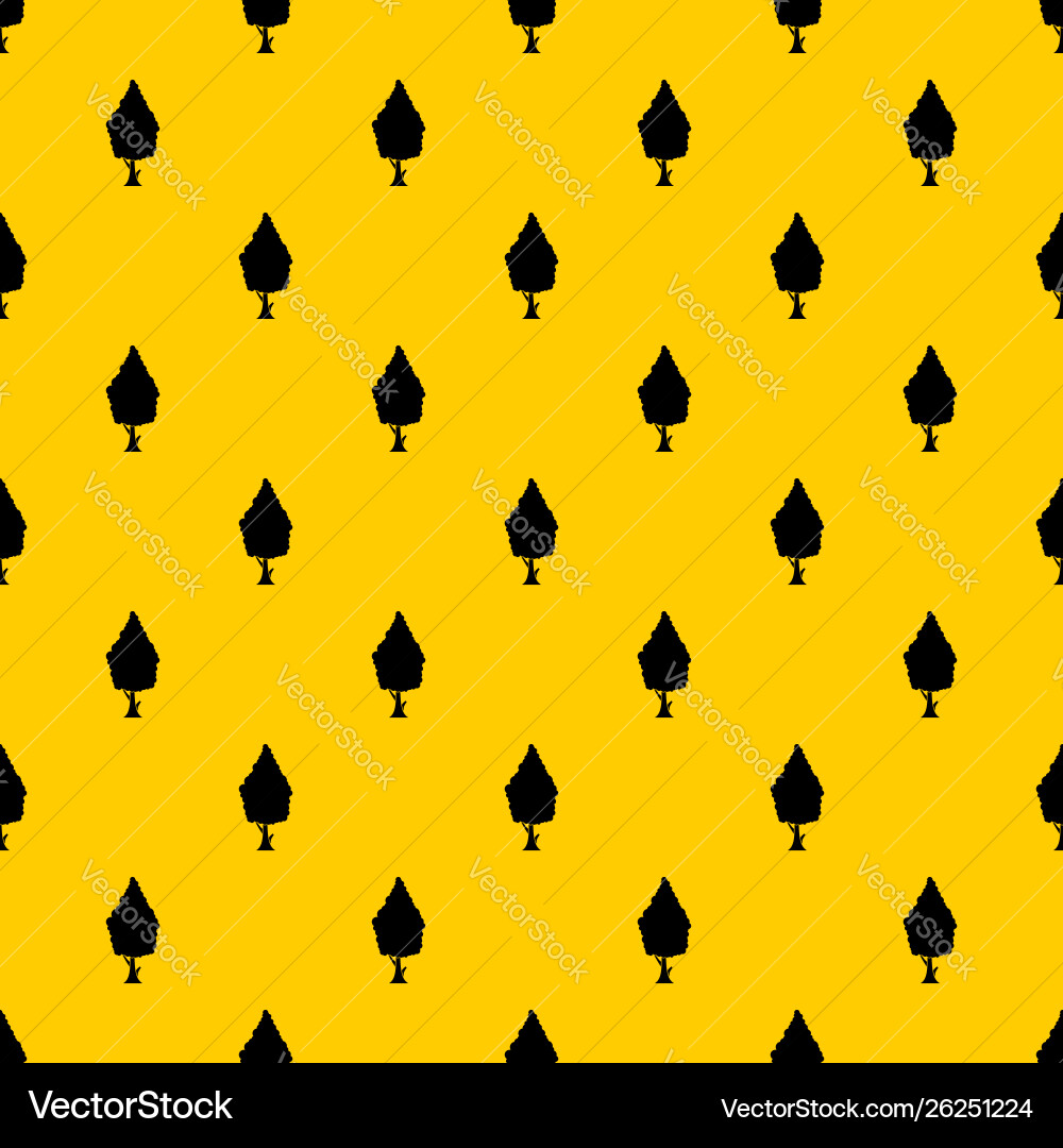 Cypress pattern Cypress pattern vector image
