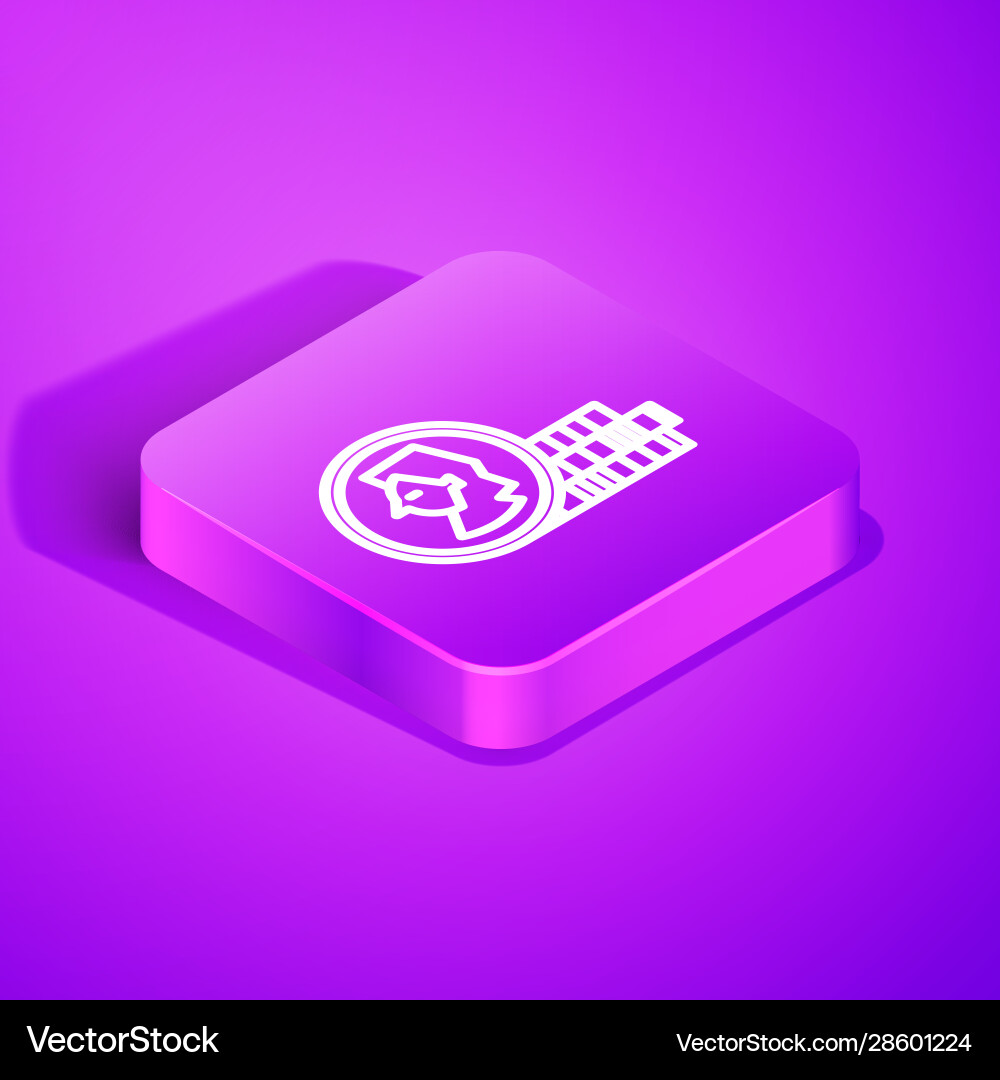 Isometric line coin for game icon isolated Isometric line coin for game icon isolated vector image
