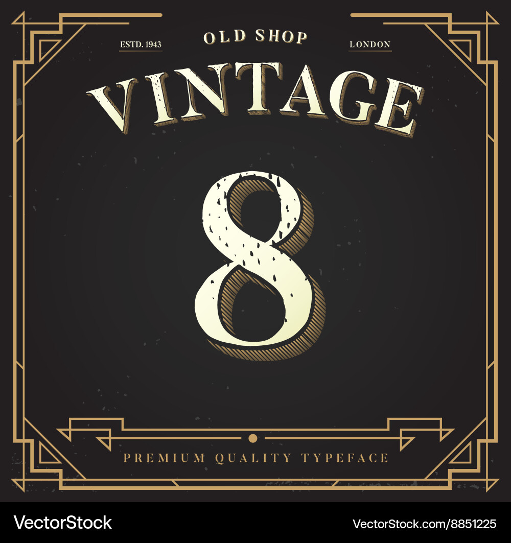 Alphabet font number with classy stylish vector image