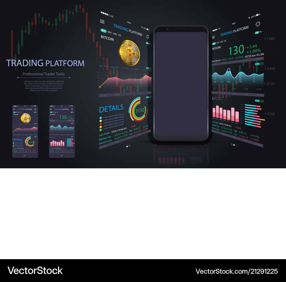 Binary Options Trading Platform vector image