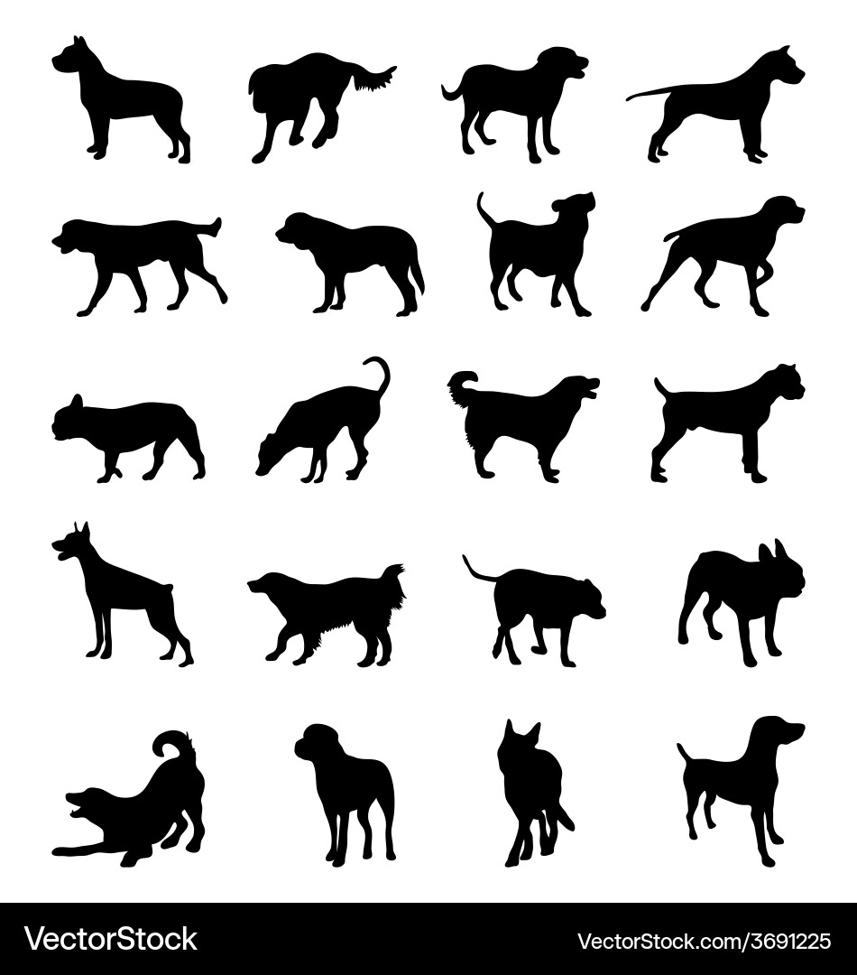Dog Silhouettes - Breed Collection Vector Image