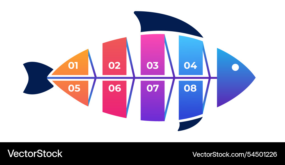 Fishbone chart for workflow analysis and project vector image