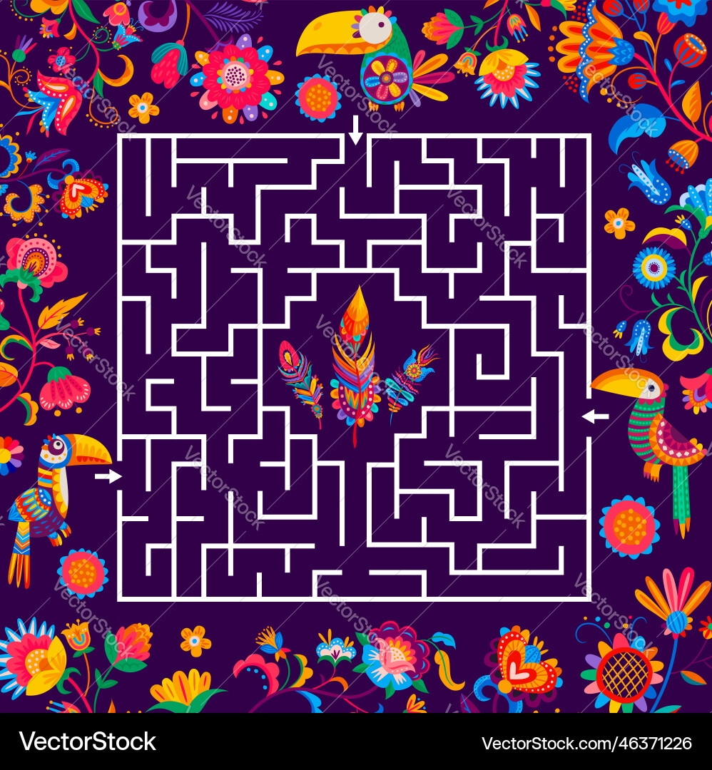 Labyrinth maze game help toucan to find feather Labyrinth maze game help toucan to find feather vector image