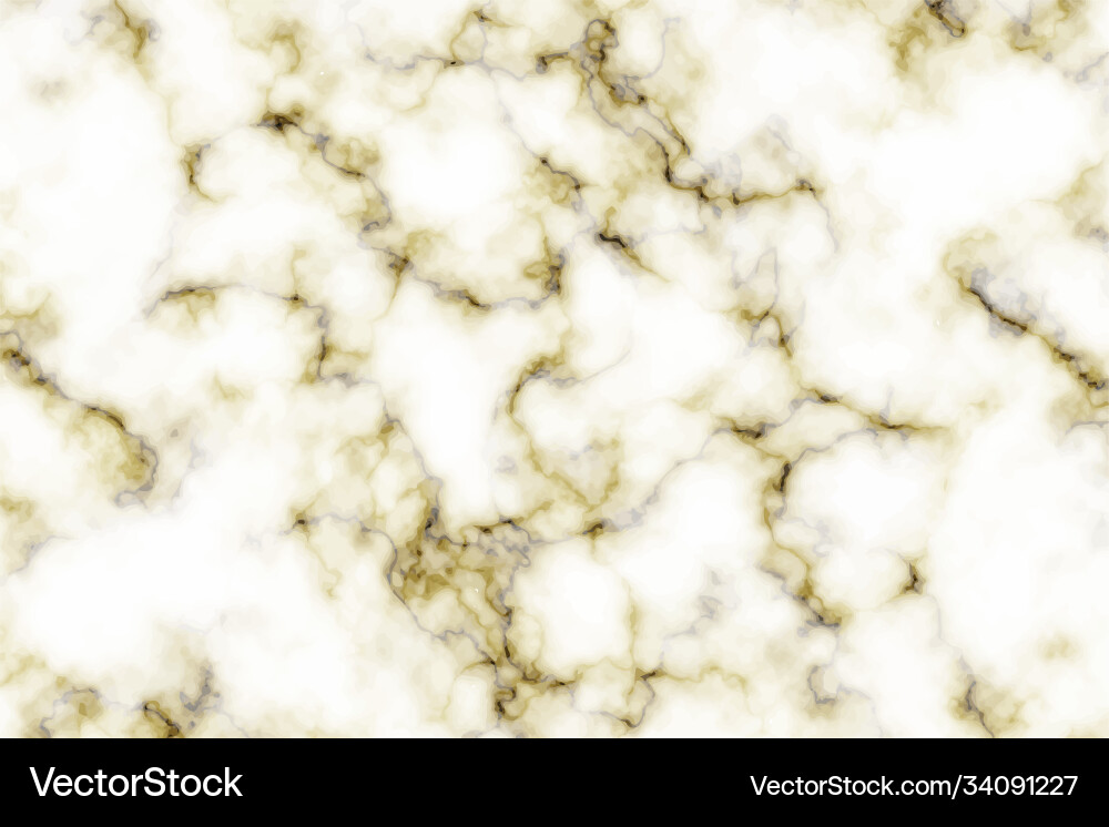 Marble granite texture Royalty Free Vector Image