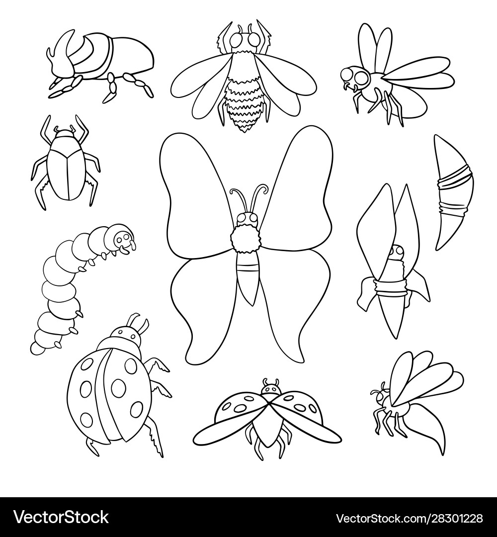 Ein Set verschiedene Insekten Umrisse Ein Set verschiedene Insekten Umrisse vektorbild