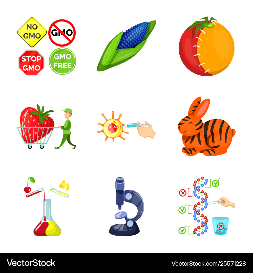 Isolated object modified and genetically logo Isolated object modified and genetically logo vector image