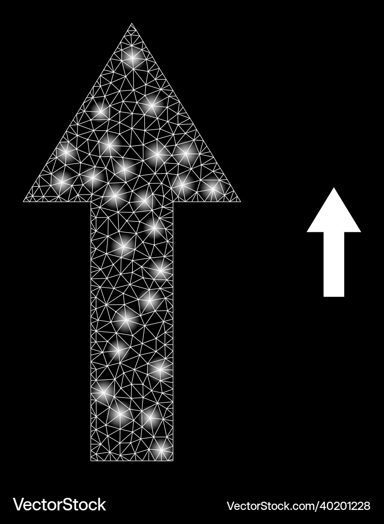 Mesh net arrow up with shiny carcass stars Mesh net arrow up with shiny carcass stars vector image