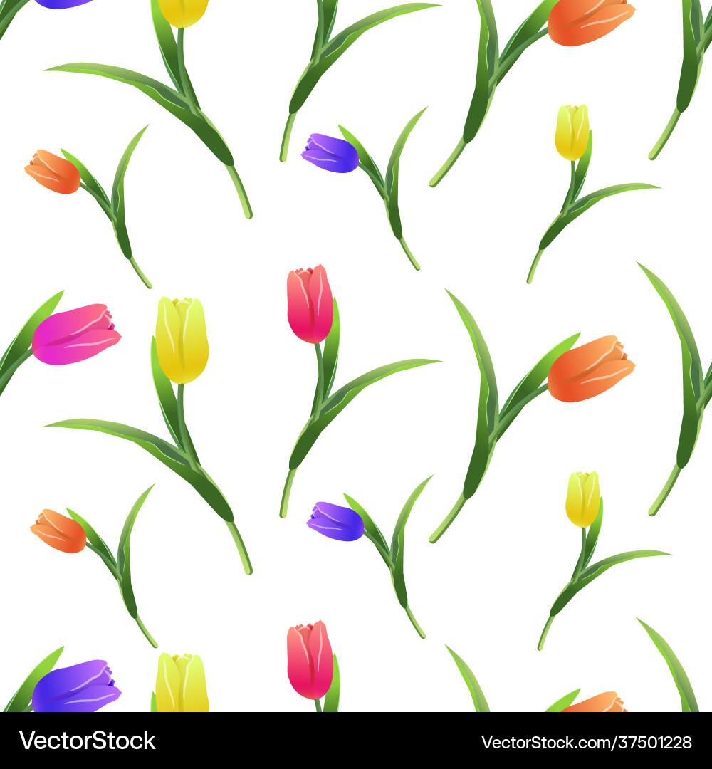 Tulips simless pattern5-01 Tulips simless pattern5-01 vector image
