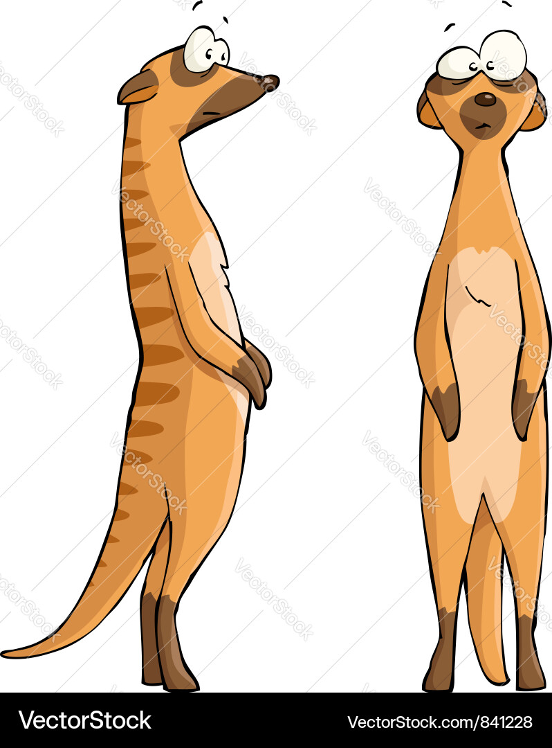 Two Cute Meerkats Vector Image