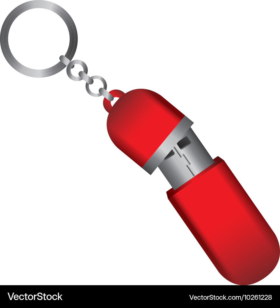 Usb disk device data keychain vector image