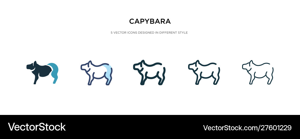 Capybara icon in different style two colored vector image