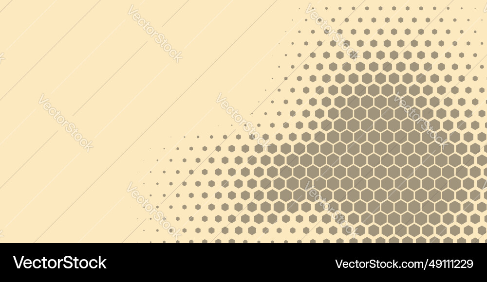 Geometric abstract hexagon two color background Vector Image