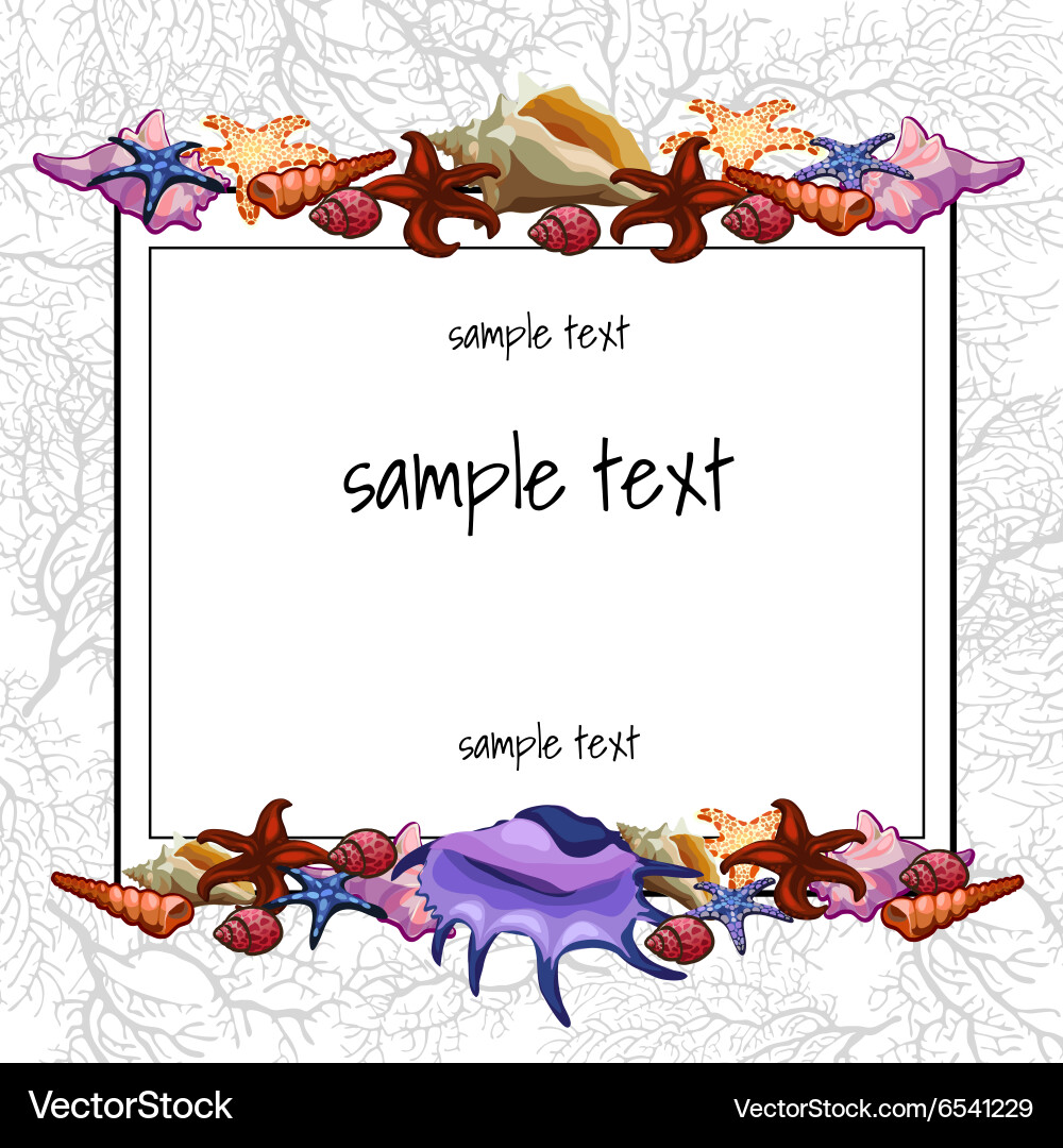 Shells and shellfish of the text frame vector image