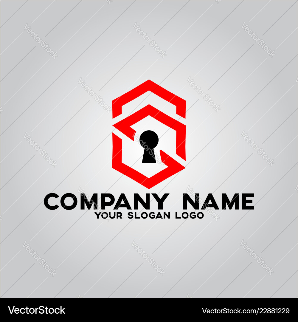 Smart security key Smart security key vector image