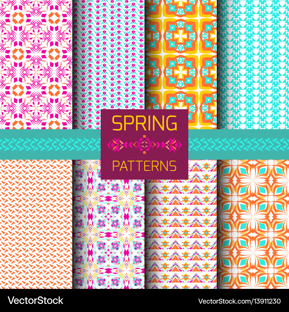 Geometric Spring Patterns vector image