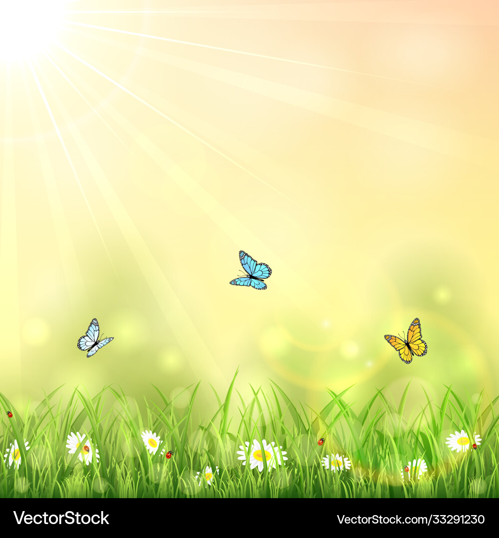 Close-up of Butterfly on Vibrant Orange Flower · Free Stock Photo, image size:1000x1080