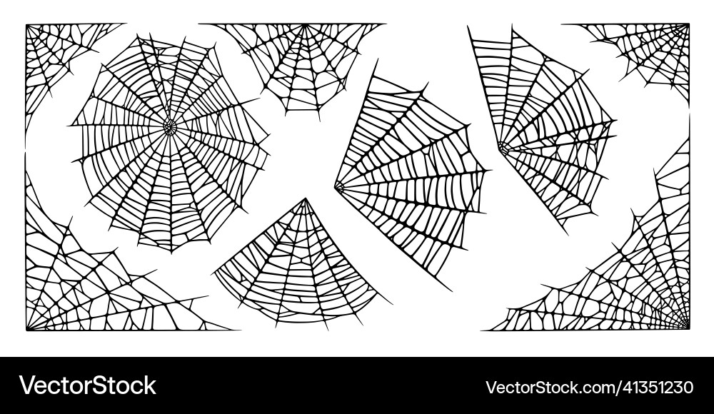 Spider web set isolated on white background Spider web set isolated on white background vector image