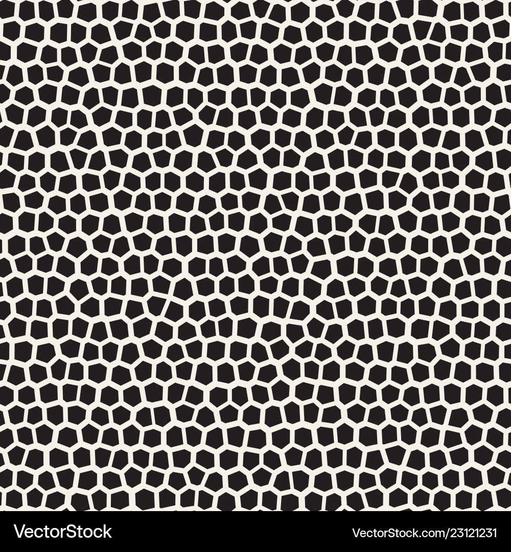 Irregular Mosaic Pattern vector image