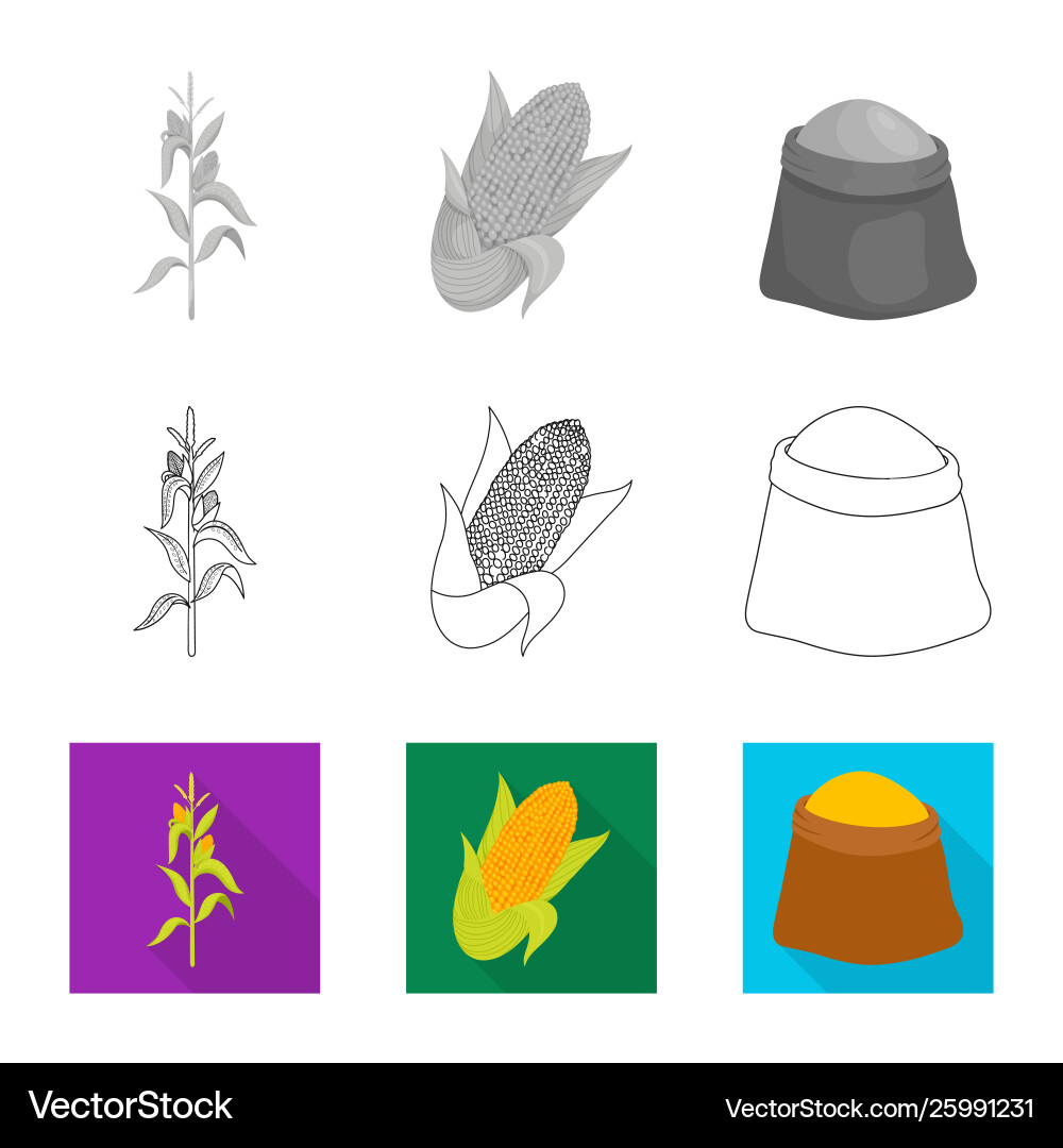 Isolated object cornfield and vegetable symbol Isolated object cornfield and vegetable symbol vector image