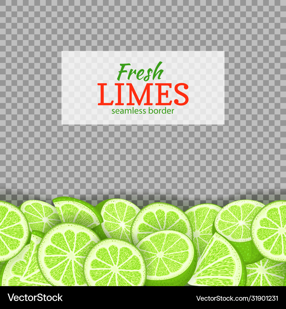 Lime fruit horizontal seamless border Lime fruit horizontal seamless border vector image