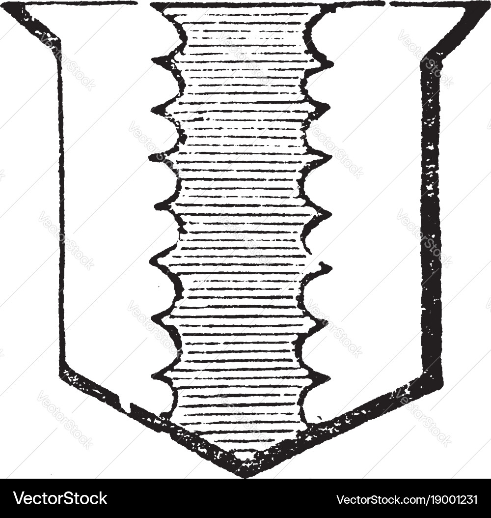 Pale engrailed have object being edged with small Vector Image
