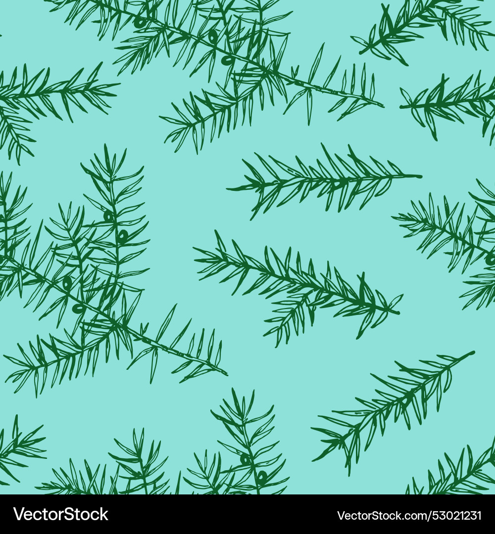 Seamless pattern with juniper branches monochrome Seamless pattern with juniper branches monochrome Vector Image