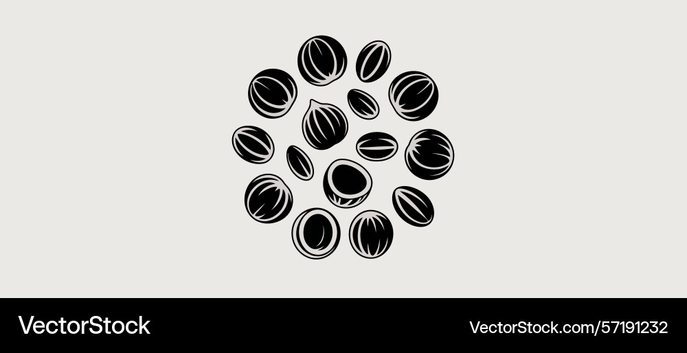 Abstract hazelnut pattern design element Vector Image