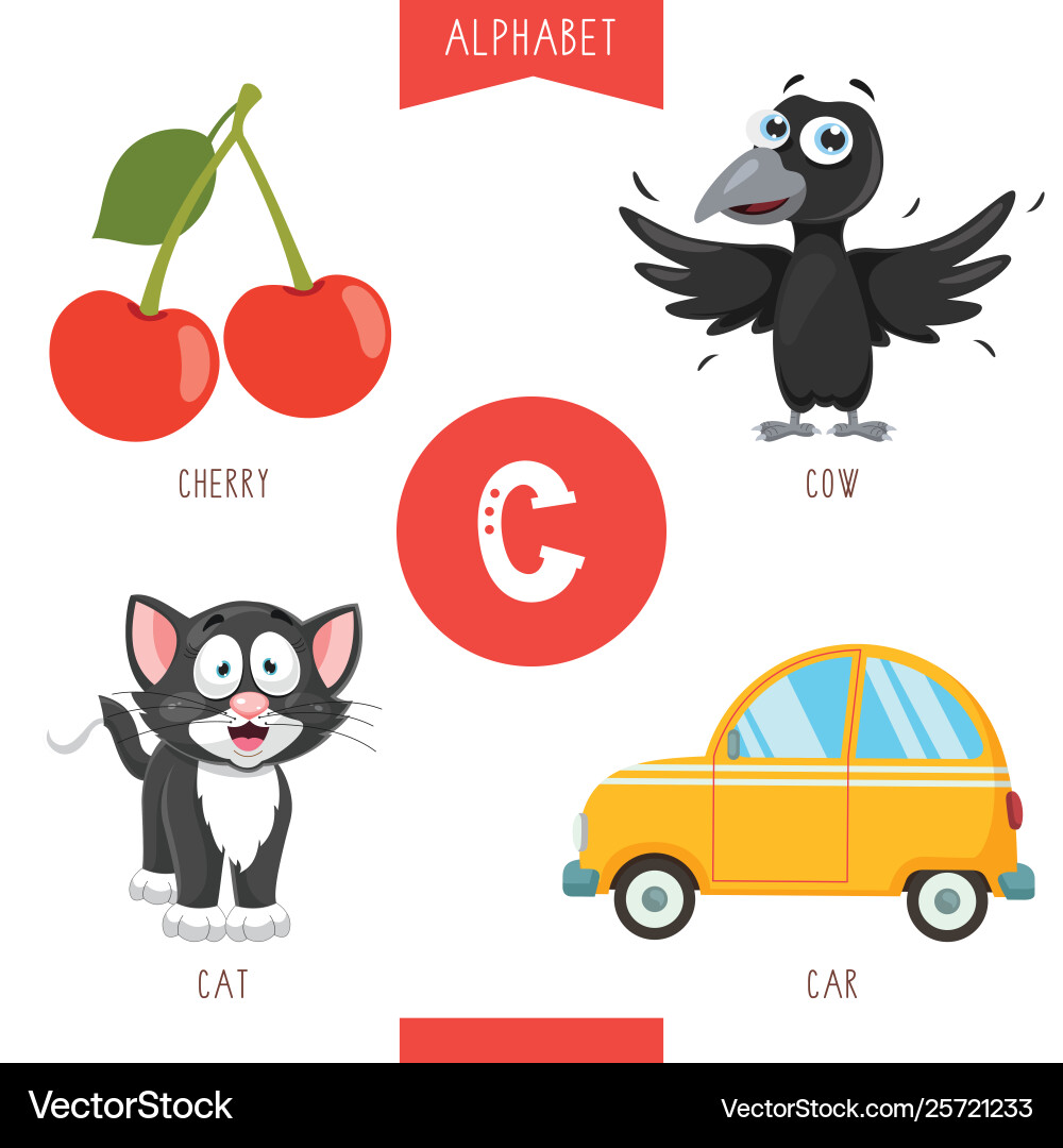 Alphabet C - Kids Learning vector image