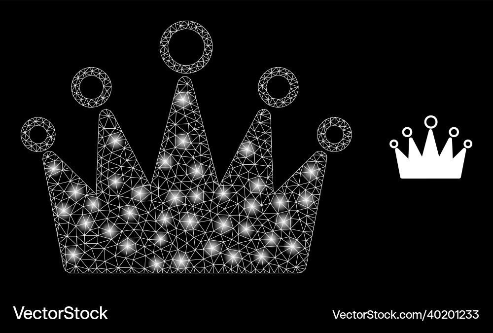 Mesh net crown with illumitated wire frame Mesh net crown with illumitated wire frame vector image