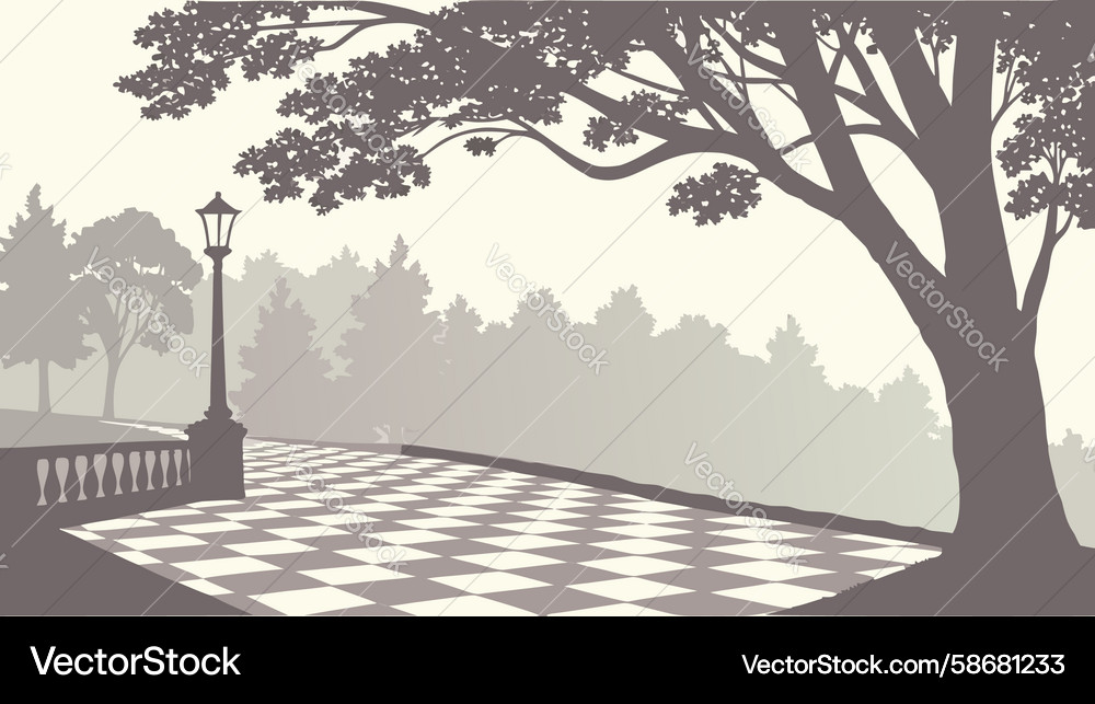 Serene park path with chessboard pattern trees Vector Image