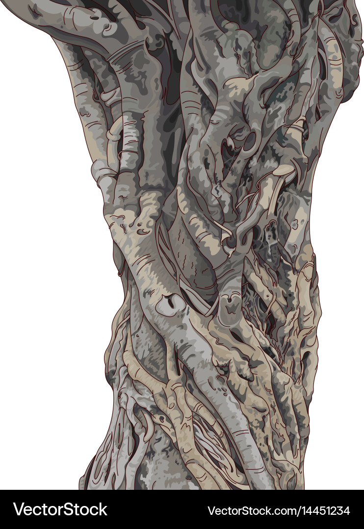 Exotic Tree Trunk vector image