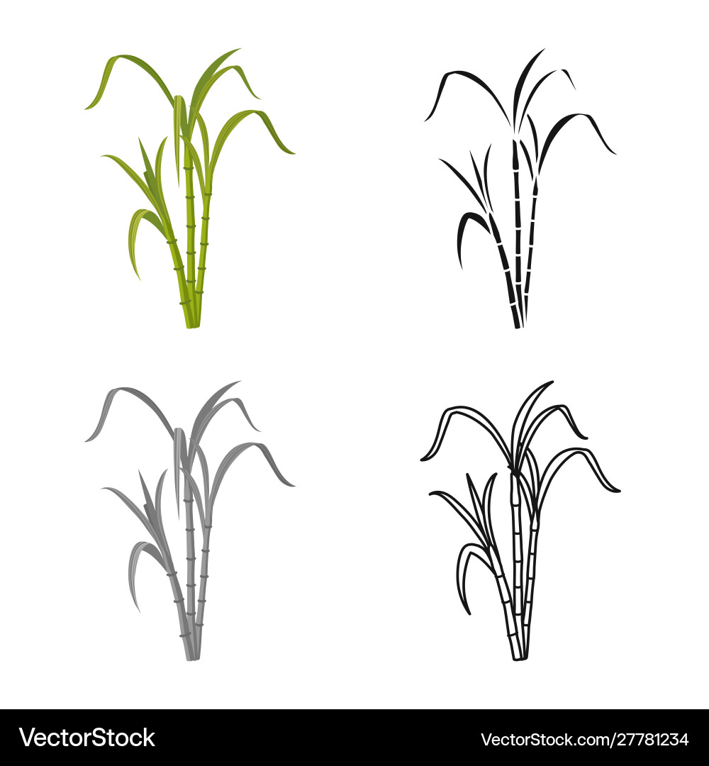 Isolated object reeds and leaf sign web Vector Image