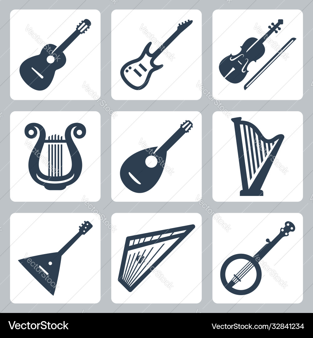 Musical instruments strings Musical instruments strings vector image