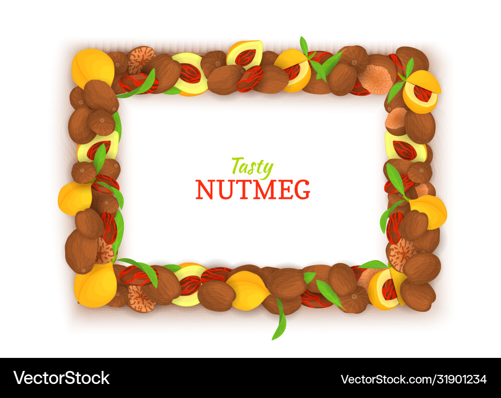 Rectangle horizontal frame composed delicious Rectangle horizontal frame composed delicious vector image