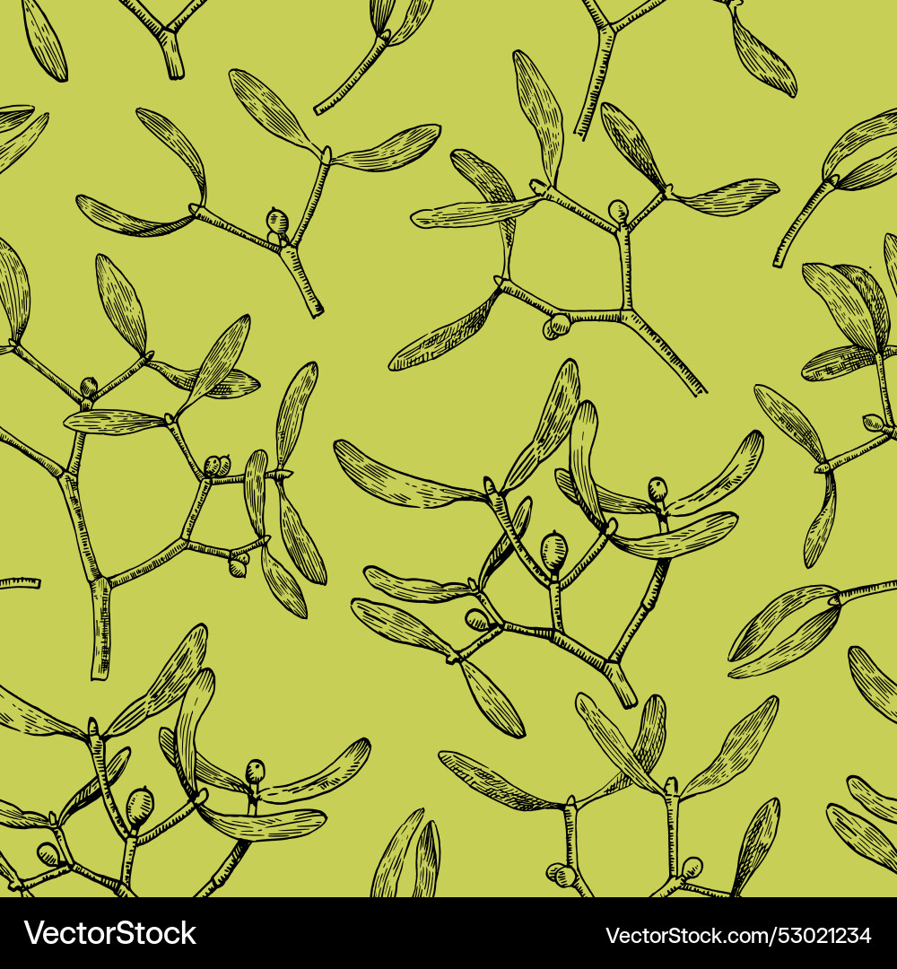 Seamless pattern with mistletoe branches Vector Image