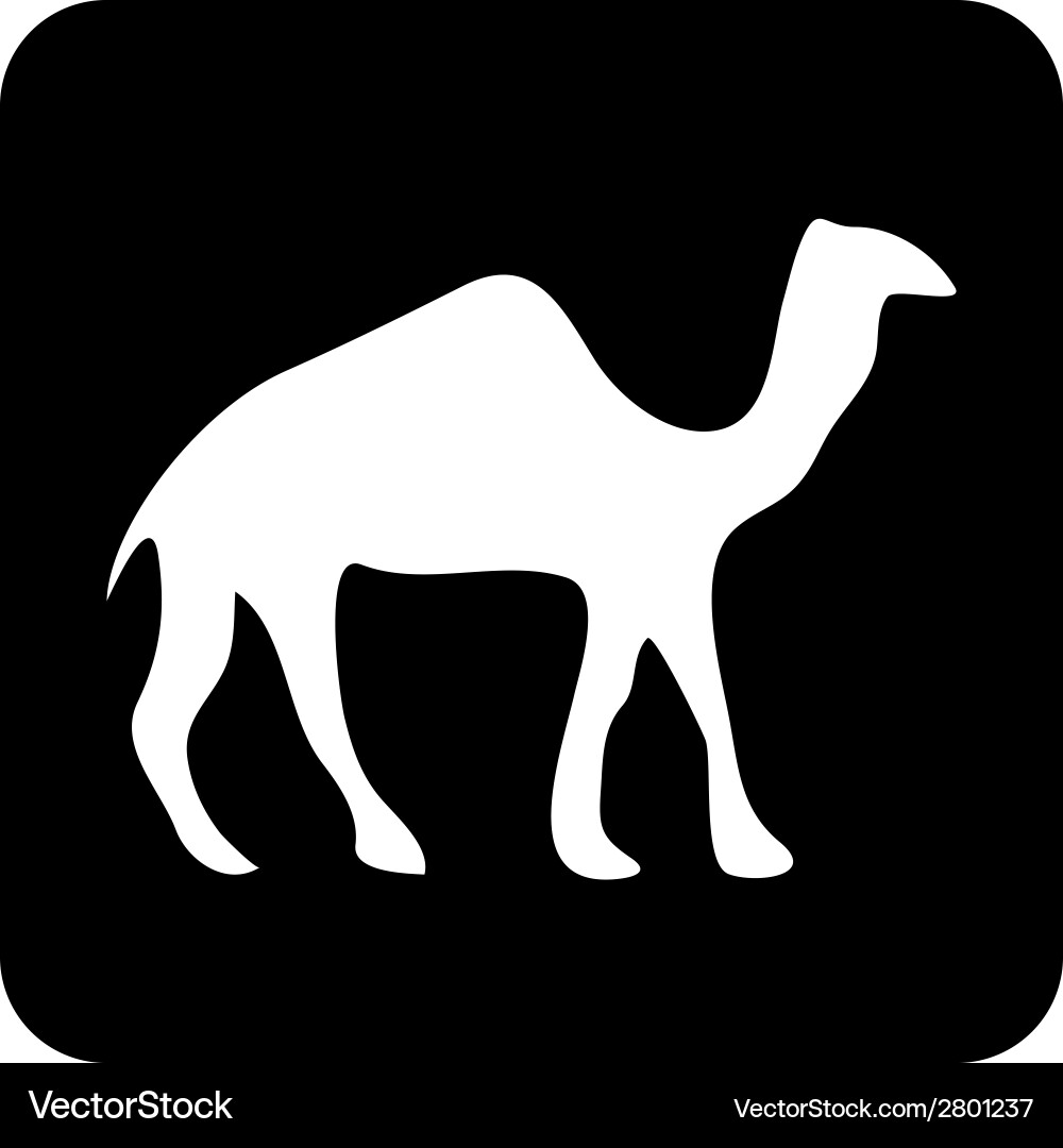 Camel button Vector Image