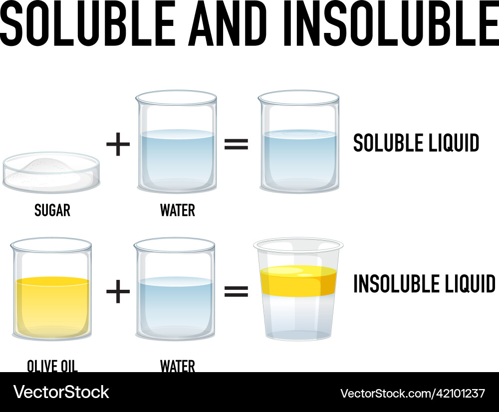 Soluble and insoluble science experiment Soluble and insoluble science experiment vector image