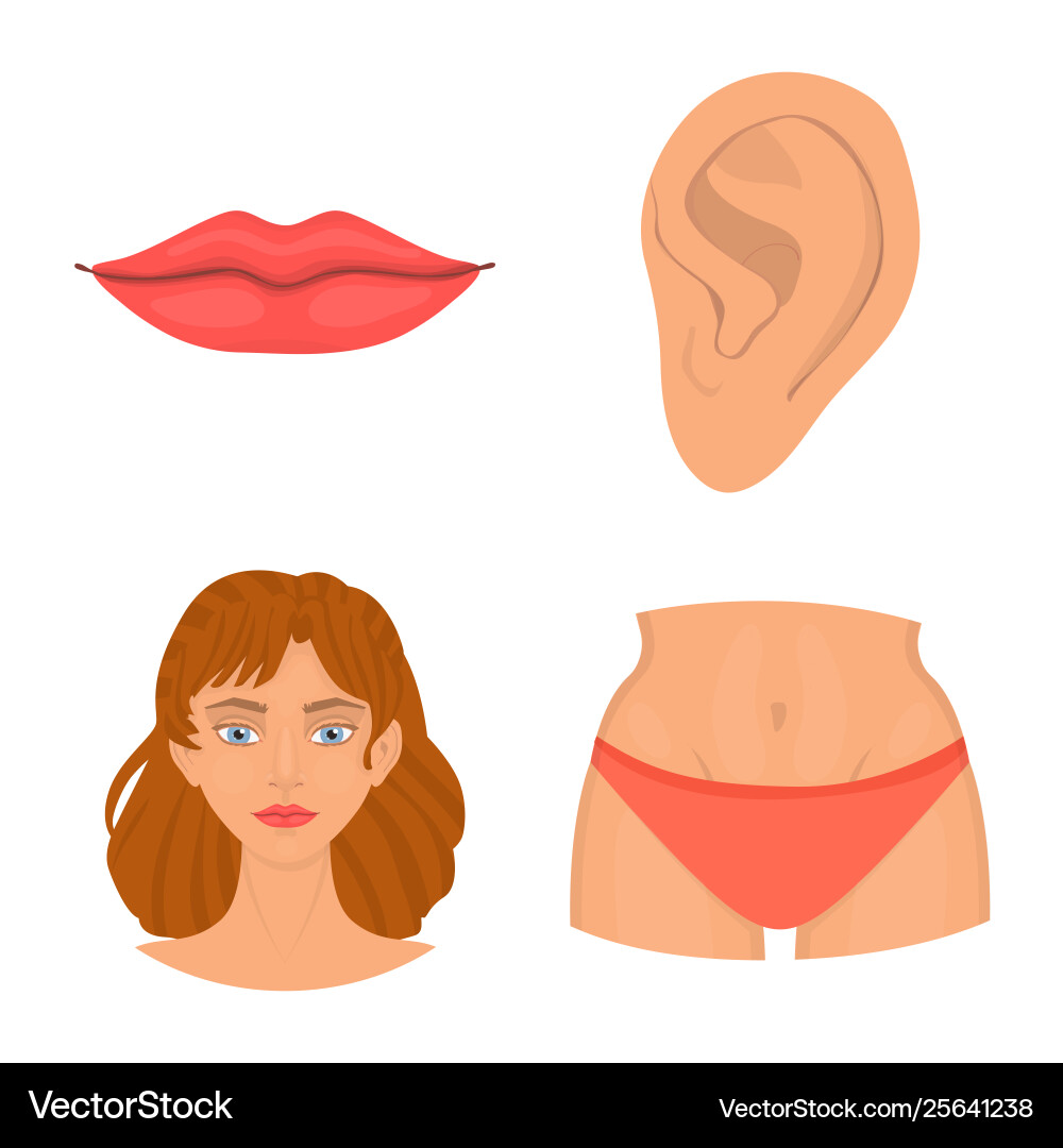 Isolated object body and part sign collection Isolated object body and part sign collection vector image