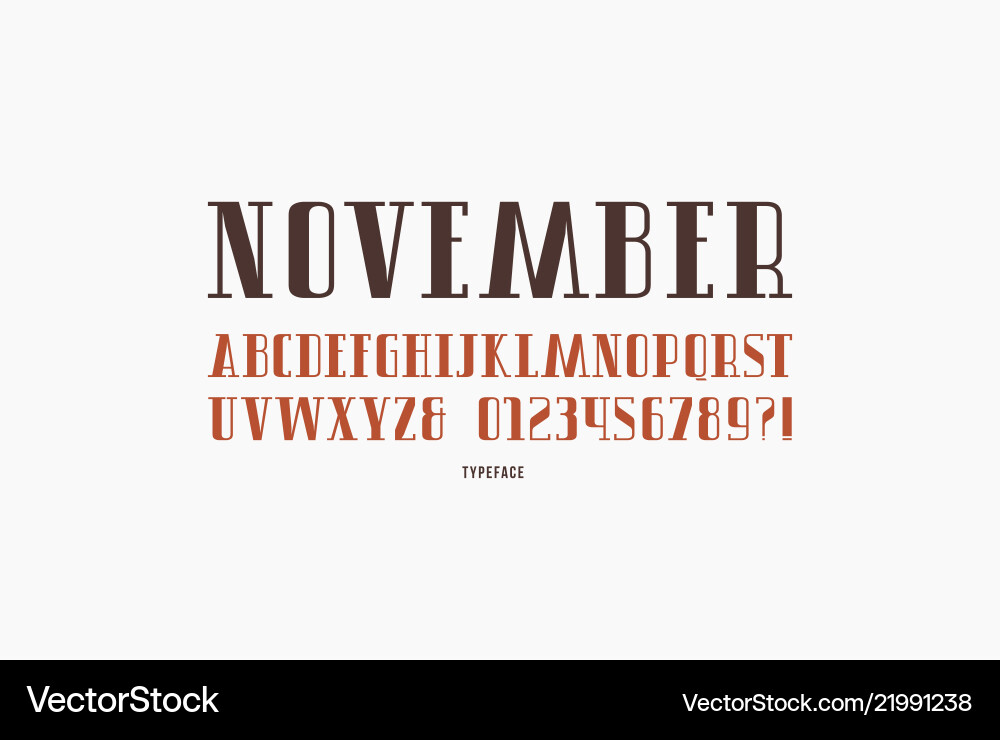 Serif font in retro style vector image