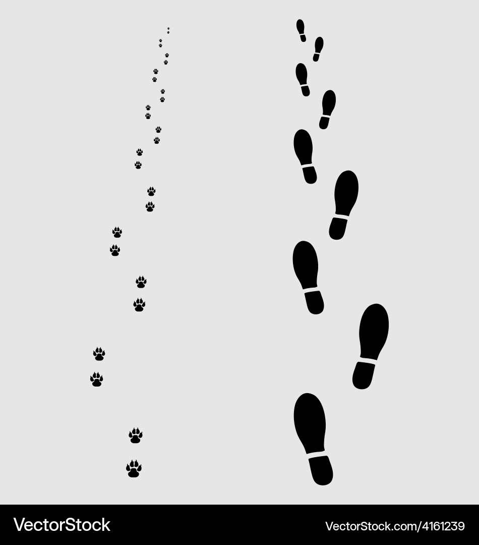 Man and Dog Footprints Vector Image