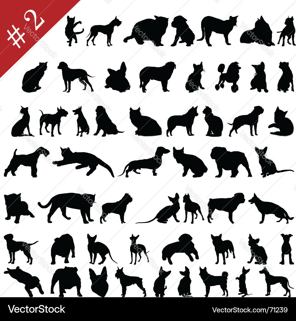 Pet Silhouettes - Animals vector image