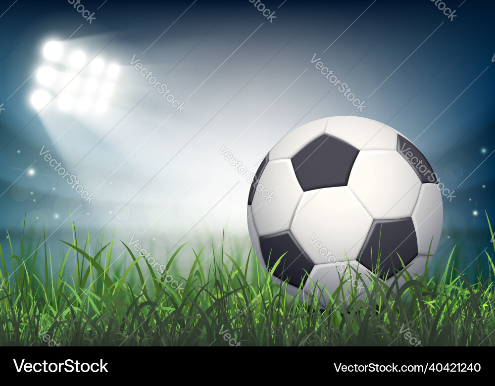 Soccer Ball on Stadium Grass Vector Image
