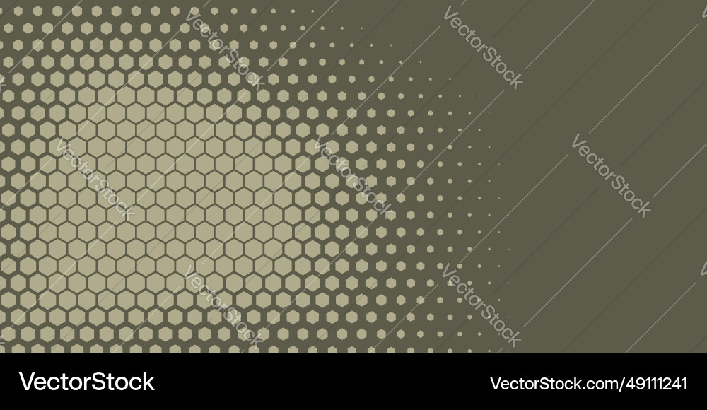 Geometric abstract hexagon two color background vector image